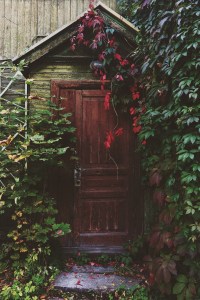 gardendoor